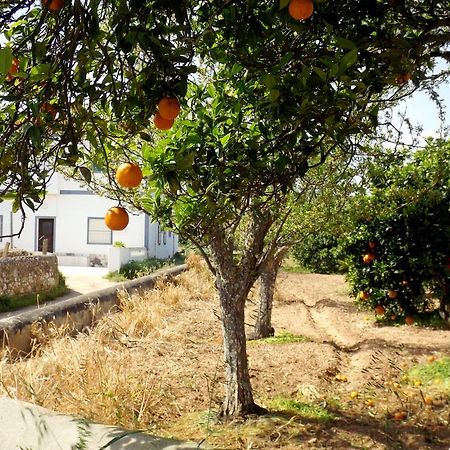Casas Do Pomar Villa Lagos Cameră foto