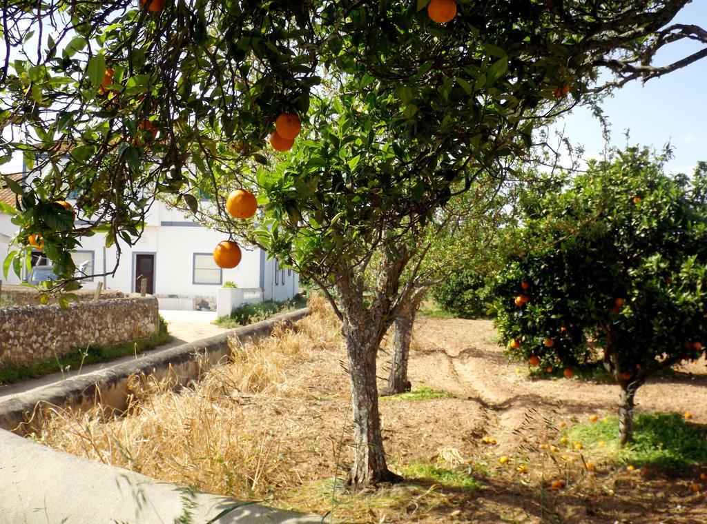 Casas Do Pomar Villa Lagos Cameră foto
