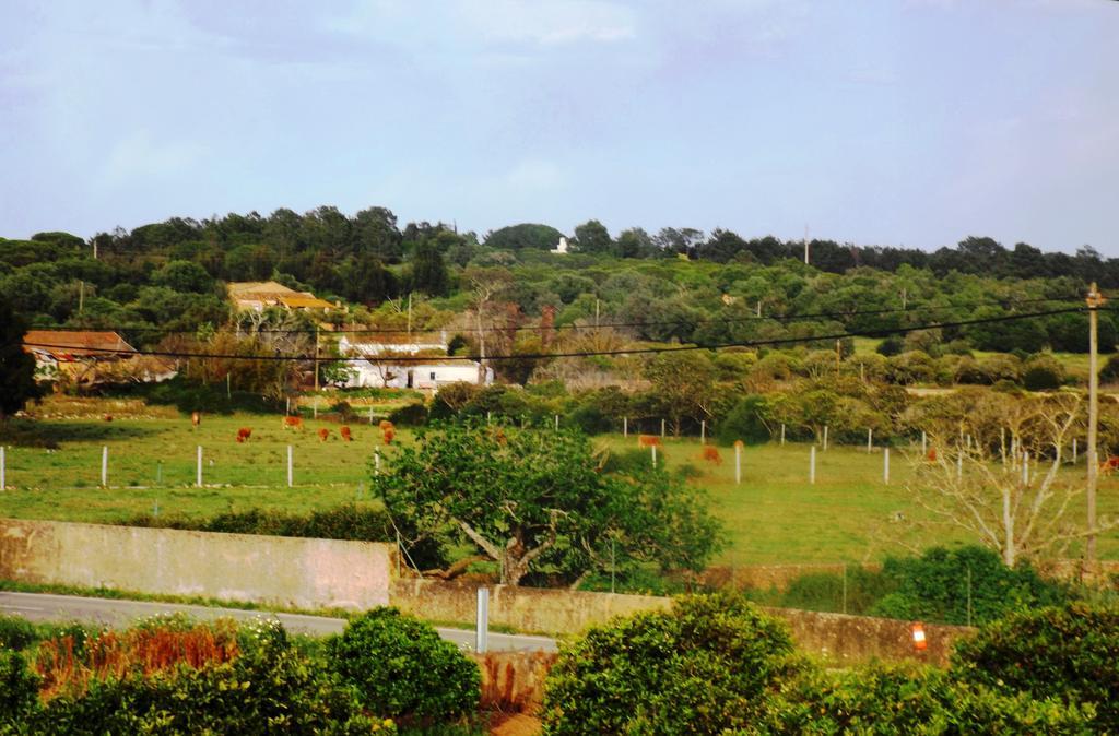 Casas Do Pomar Villa Lagos Cameră foto